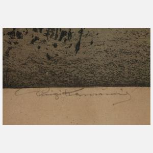 Prof. Luigi Kasimir, Blick auf Schloss Persenbeug