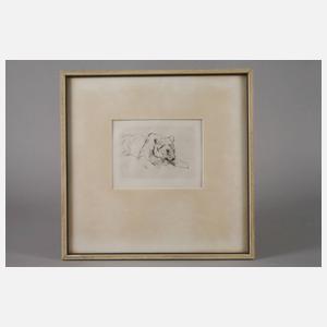 Prof. Max Slevogt, "Liegender Löwe"