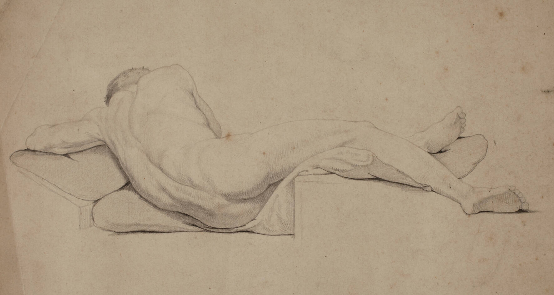 Männlicher Rückenakt