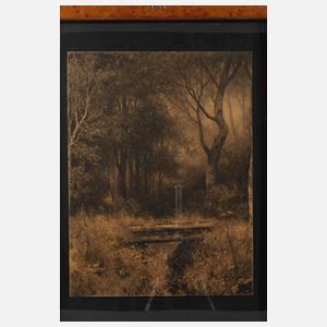 Waldlandschaft mit Bach