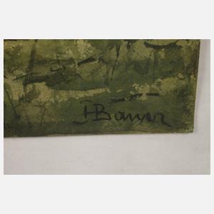 Hans Bauer, Rheinlandschaft