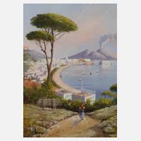 M. Gianni, "Neapel mit Vesuv"111