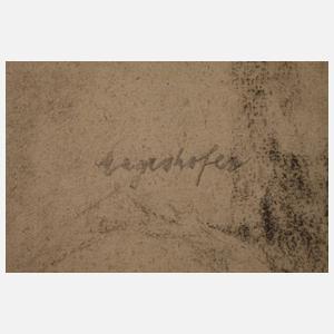 Prof. Max Mayrshofer, Portraitstudie