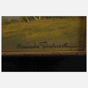 Alexander Reinhardt, Sommer in den Alpen