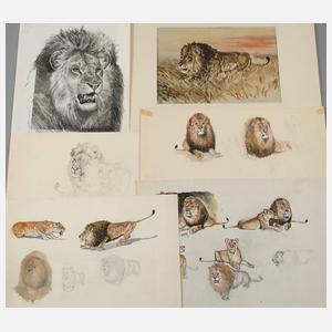 Paul Rudolph, Konvolut Löwendarstellungen