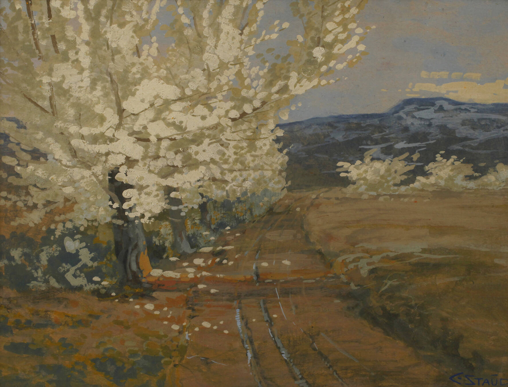 C. Staud, Feldweg mit blühenden Bäumen