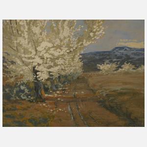 C. Staud, Feldweg mit blühenden Bäumen