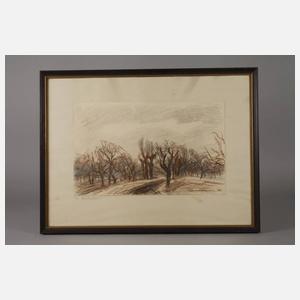 Daniel Wohlgemuth, "Im Weidengrund"