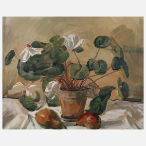 Daniel Wohlgemuth, Stillleben mit Alpenveilchen