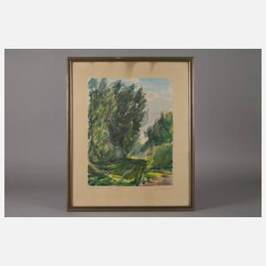 Daniel Wohlgemuth, "Weg mit Weiden"