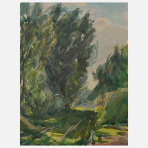 Daniel Wohlgemuth, "Weg mit Weiden"