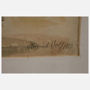 Harriet Wolf, Bei der Arbeit