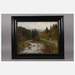 Albert Ernst Mühlig, Aus dem Schwarzwassertal