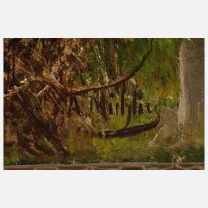 Albert Ernst Mühlig, Aus dem Schwarzwassertal