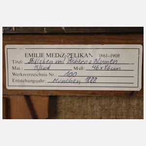 Emilie Mediz-Pelikan, attr., "Stilleben ..."