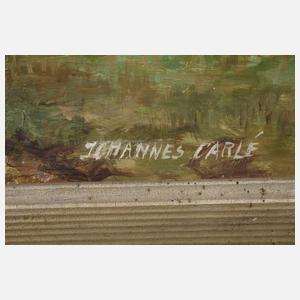 Johannes Carlé, Arbeit auf dem Feld