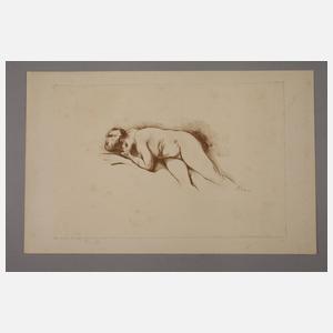 Prof. Georg Erler, Sammlung Lithographien