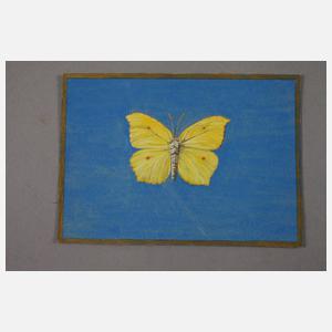 Walther Gasch, Zwei Schmetterlingsdarstellungen