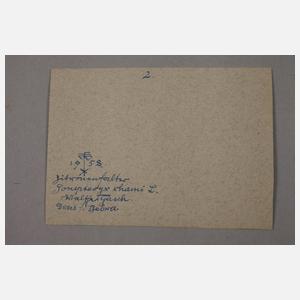 Walther Gasch, Zwei Schmetterlingsdarstellungen