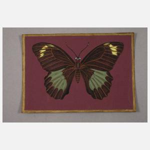 Walther Gasch, Zwei Schmetterlingsdarstellungen