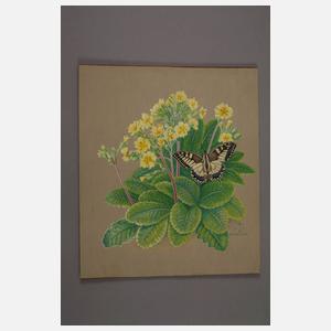 Walther Gasch, Primel mit Schwalbenschwanz