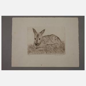 Rudolf Gebhardt, Konvolut Radierungen