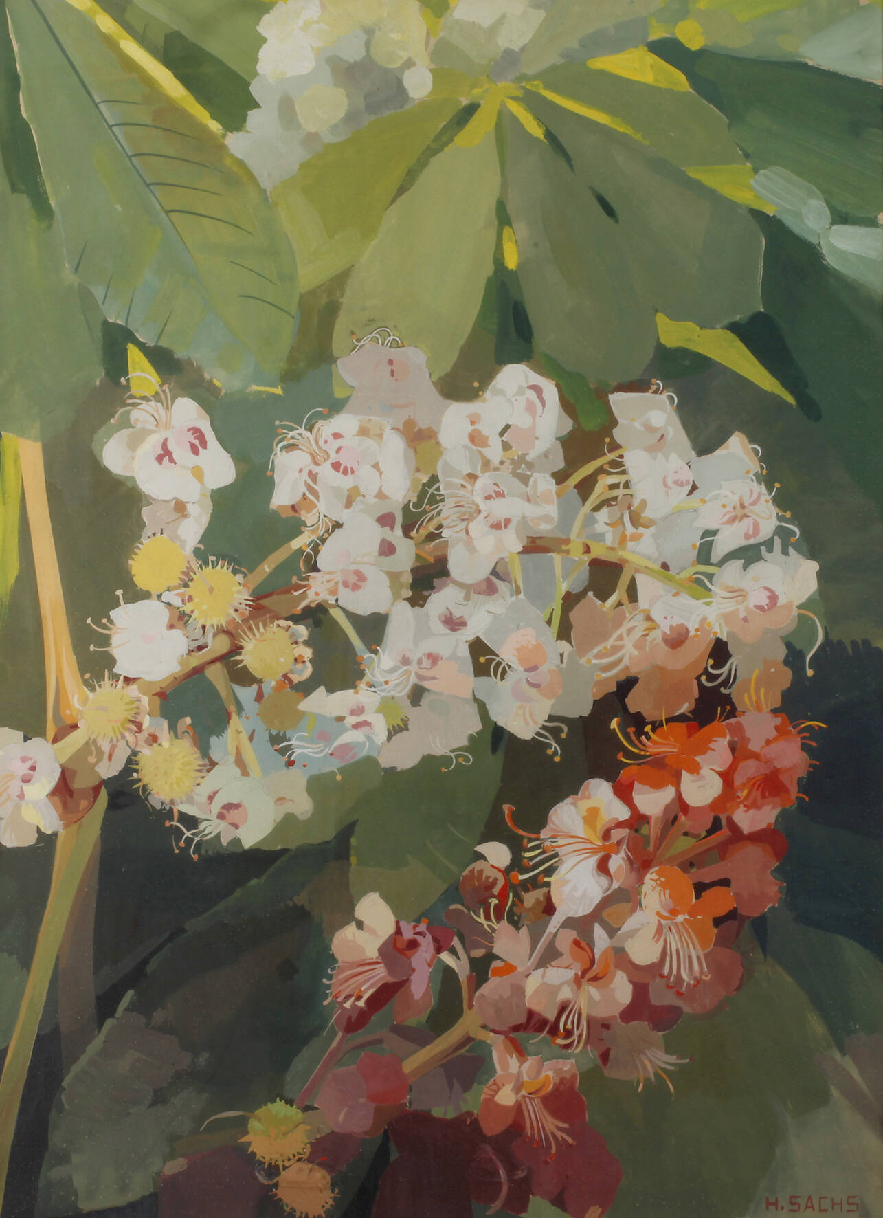 Hans Sachs, Kastanienblüte