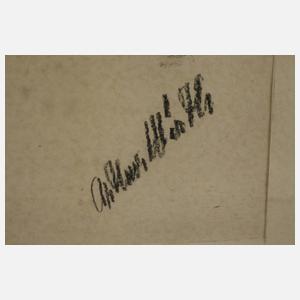 Arthur Wirth, Damenportrait