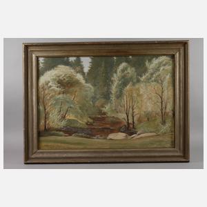 Wolfgang Sachs, Frühling im Triebtal