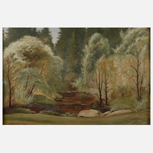 Wolfgang Sachs, Frühling im Triebtal