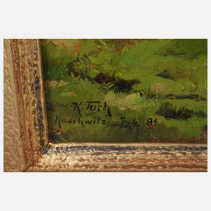 Prof. Kurt Tuch, Auenlandschaft bei Leipzig