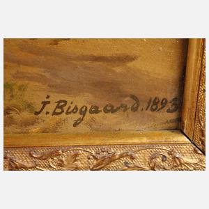 J. Bisgaard, Küstenlandschaft