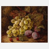 Oliver Clare, Früchtestillleben111