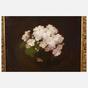 Stuart Park, Geranienstillleben