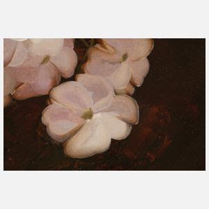 Stuart Park, Geranienstillleben