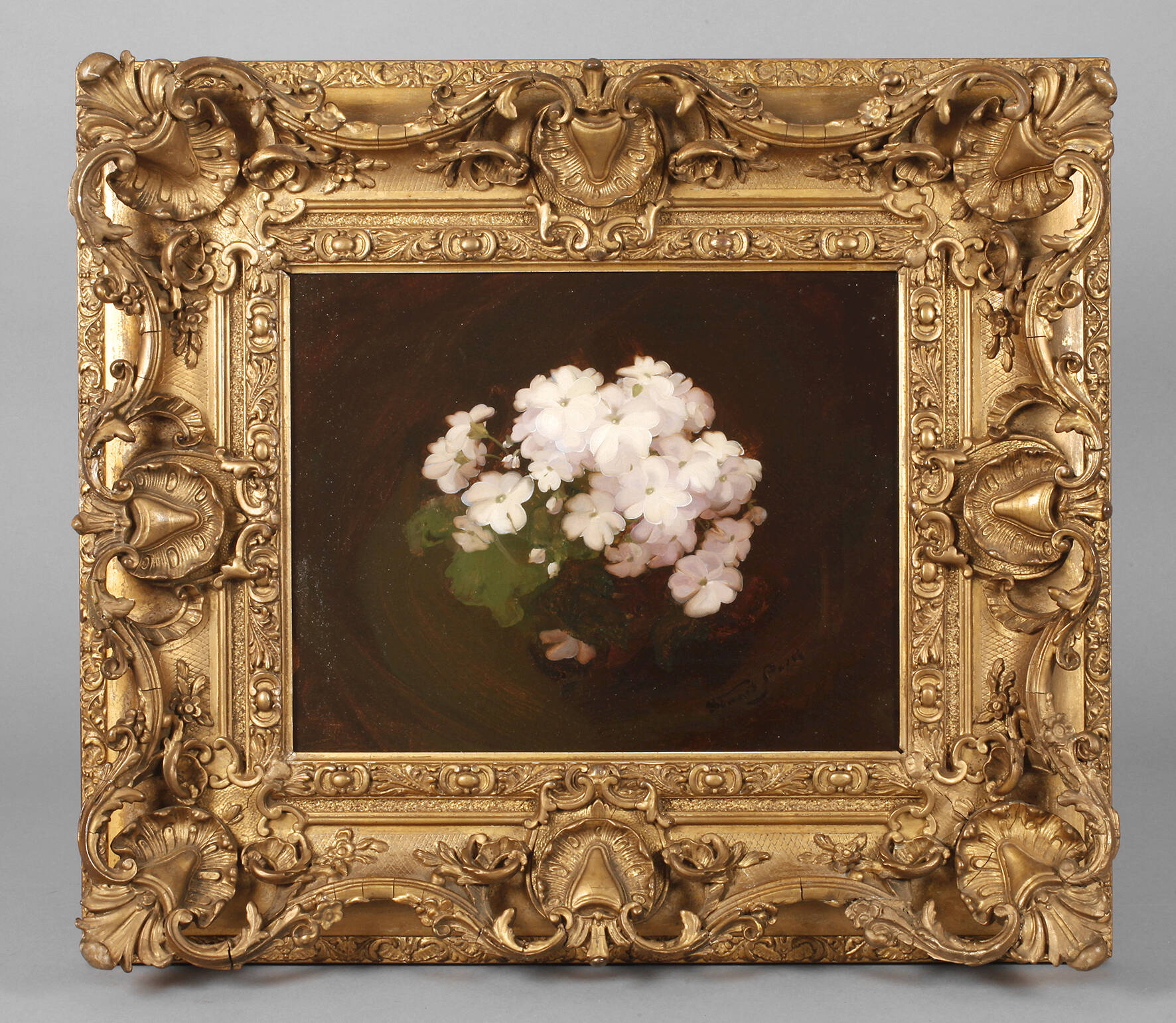 Stuart Park, Geranienstillleben