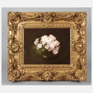 Stuart Park, Geranienstillleben