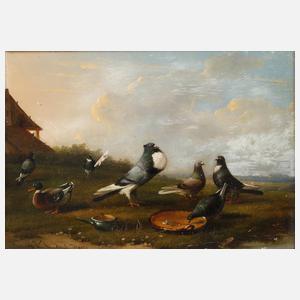 François Vandeverdonck, Geflügelstück