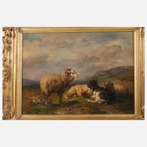 Pastorale Landschaft