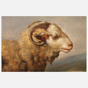 Pastorale Landschaft