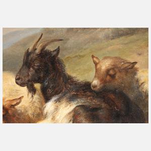 Pastorale Landschaft