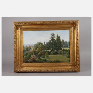 Sommerliche Parklandschaft