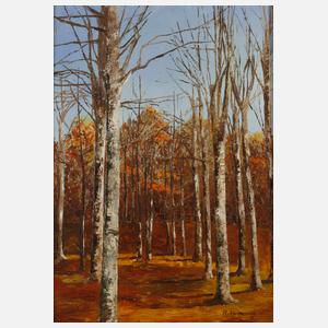 Paola Azzurri, Herbstlicher Birkenwald