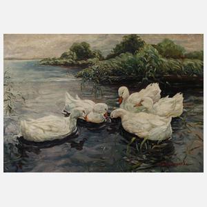 F. Brommert, Enten auf dem See