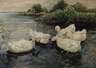 F. Brommert, Enten auf dem See