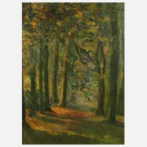 E. v. d. Hagen, Waldstück