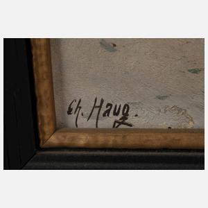 Christian Haug, Fuchs im Schnee