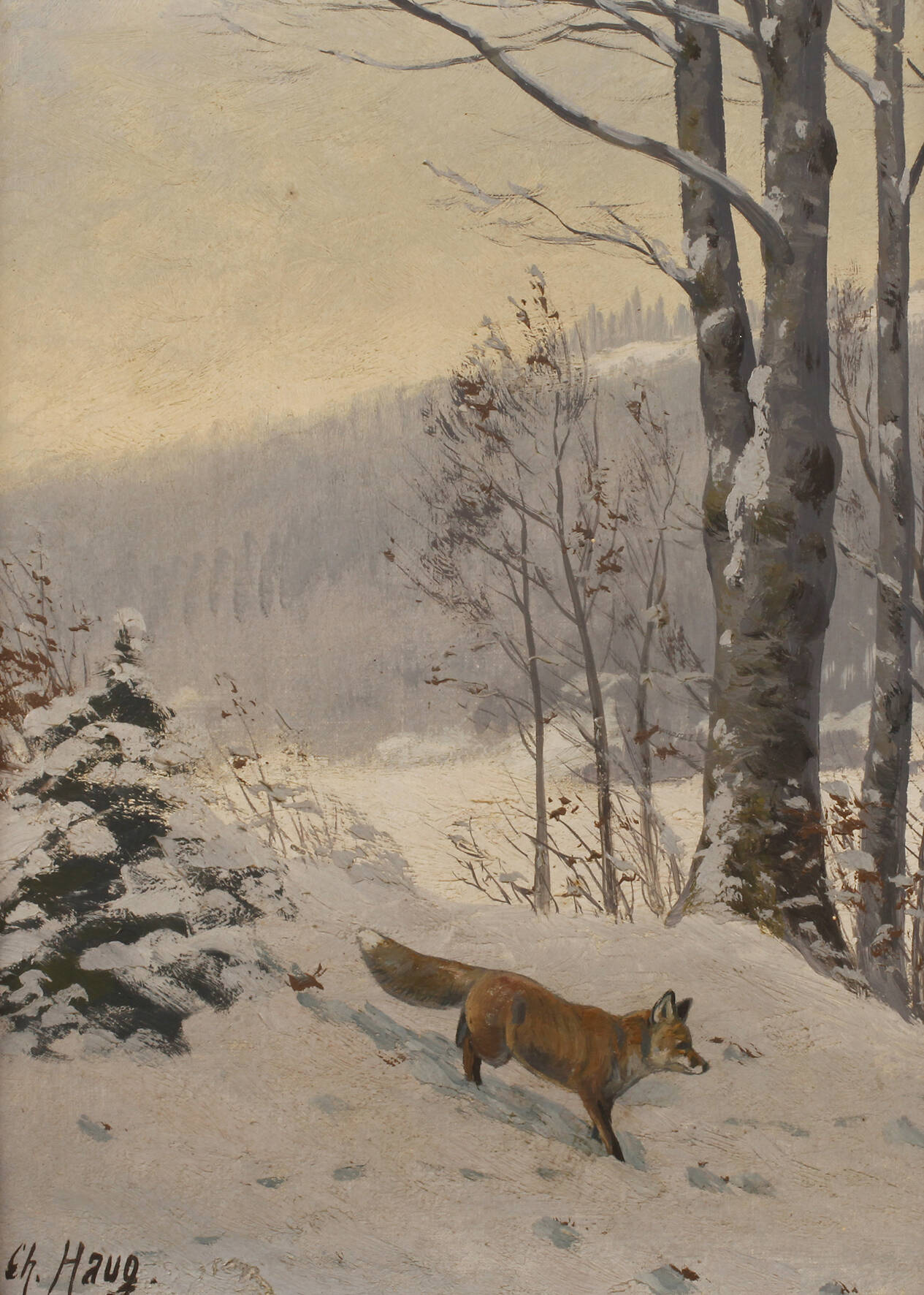 Christian Haug, Fuchs im Schnee