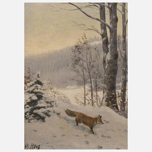 Christian Haug, Fuchs im Schnee