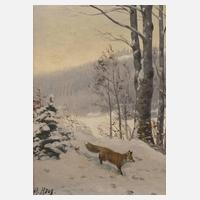Christian Haug, Fuchs im Schnee111
